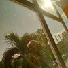 daylins_.440