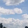 lutfia_310