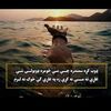 user7549351426760