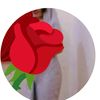 user7096676661023