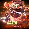 labib_edit1