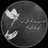 malik.naeem7090