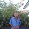 user18611431259462