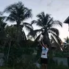 doncic77magic