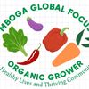 MBOGA GLOBAL FOCUS🥦🍅🌶️