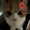 tiktok.comciaa_yt11