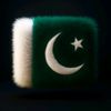 ahmad.yaseen0535