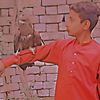 faizankahn605