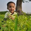 md.tansib1