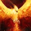 comoelavefenix3