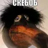 user8536744023888