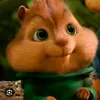 z_markysha
