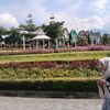 nyepelet