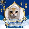 nurulcan23291_