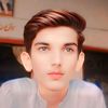 alihussain.39