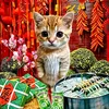 hoai.nam4173