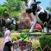 masrupee05