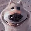 nhi_chao