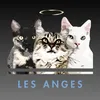 Les Anges • Food & Drinks