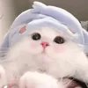 hello.fen.mt.mi.c