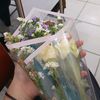 putri..3009