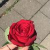 asrar.mhager