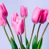 saad.alrebeue