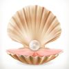 clam_mussel_oyster