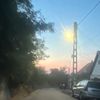 sofia_k479