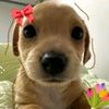 paoljasmin0
