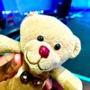teddygoodboy2
