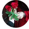 user6198154810800