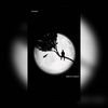 roshane_._0
