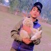 malik.sab.338