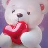 shahb.shahb2