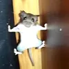 vemok4