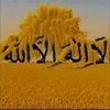 mubashra375