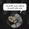 a_11_z_6