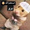 sadermohammad0