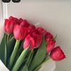 mennaelsaeed5457