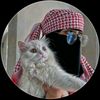 missqalbi30