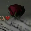 user1708138068448