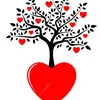 user5558195407618