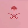 lateen.alharbi34