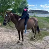 sunny.horsemoments
