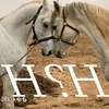 asrin.srtun