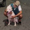 eden_dog