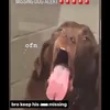fuckkissah