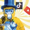 gt_kevinvr