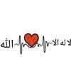 user2927114753807